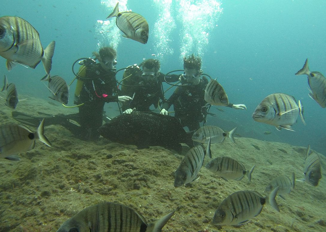 Mero Diving Center-Canico必去景点