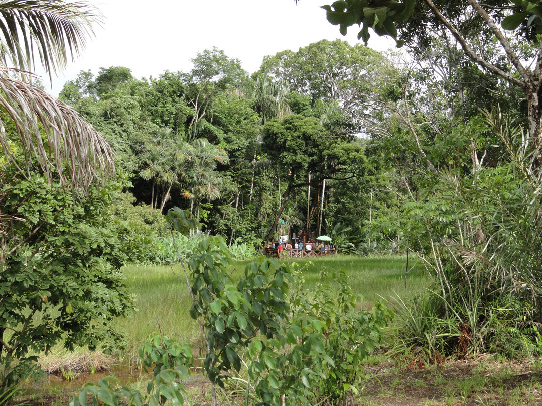 Bioparque Municipal de Macapa-Macapa必去景点