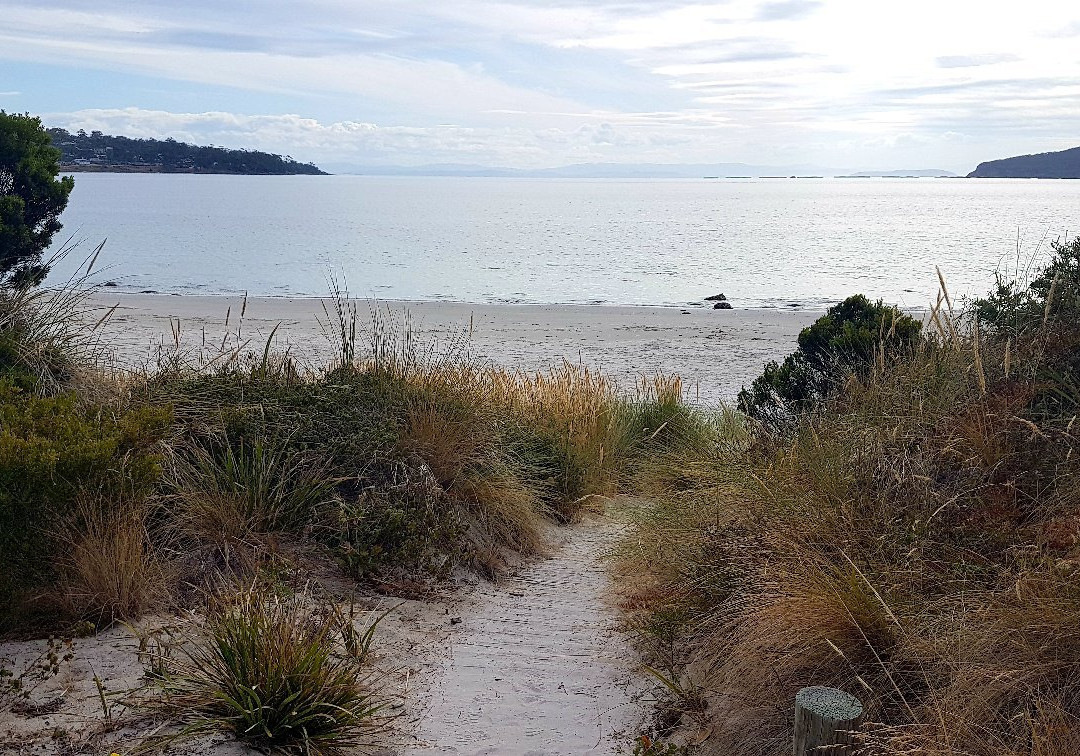 海滩竖琴手酒店主图