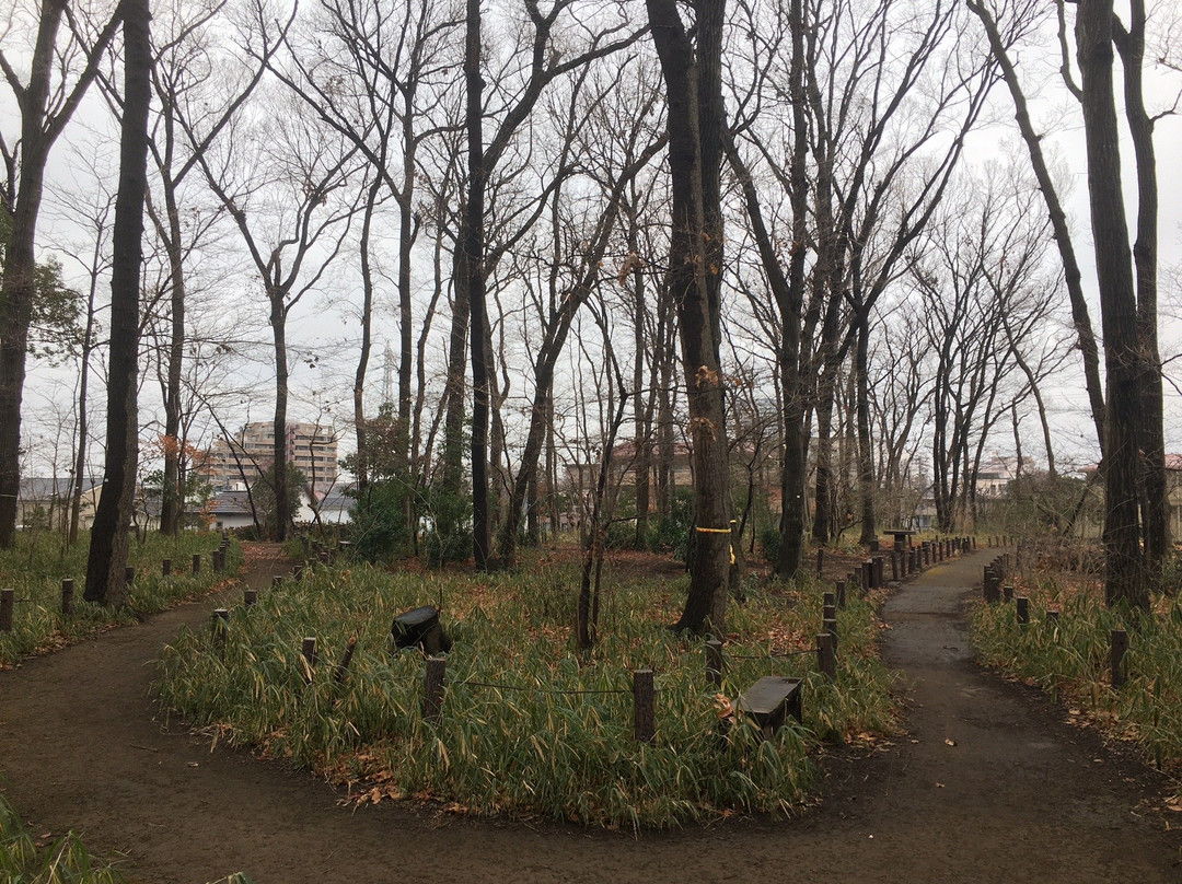 Nishikoigakubo Ryokuchi-国分寺市必去景点