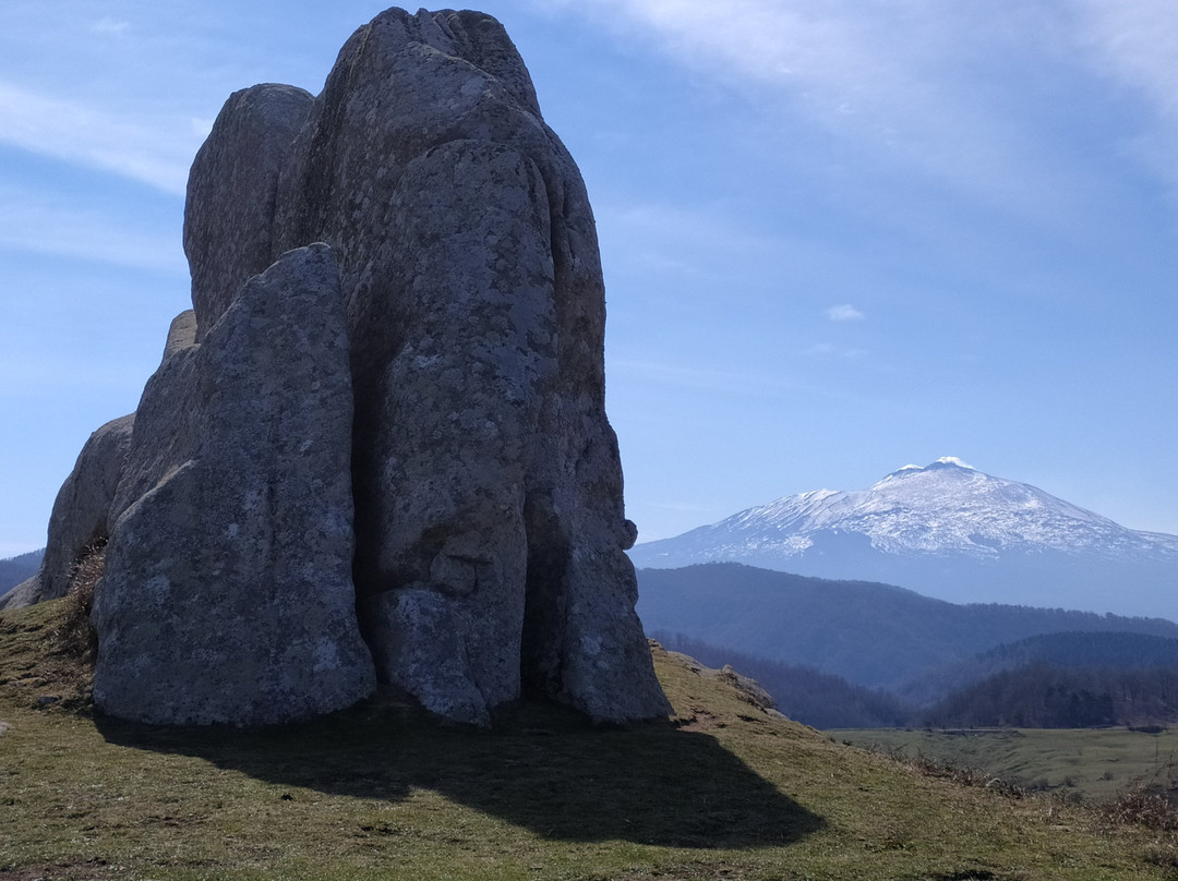 Megaliti dell’Argimusco景点图片