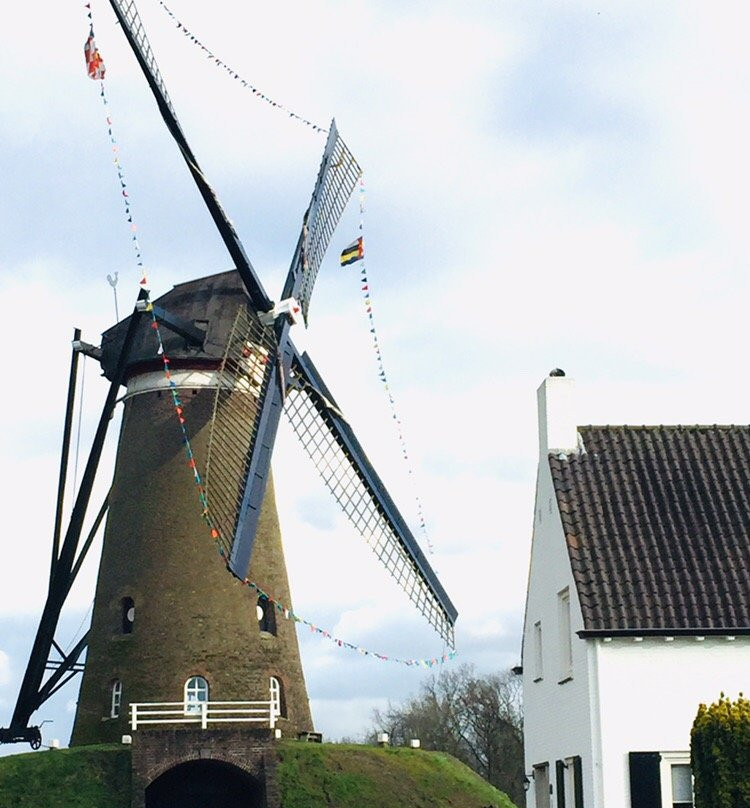Windkorenmolen De Roosdonck景点图片