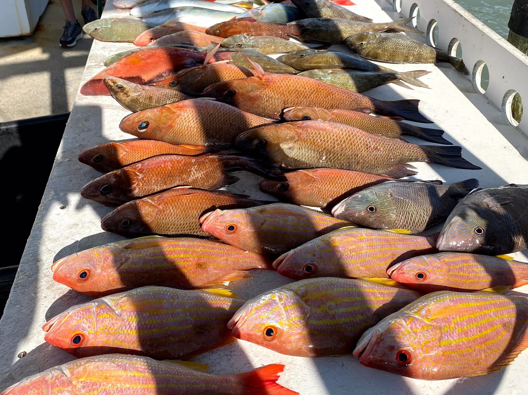 FH Offshore / Deep Sea Charters-恩格尔伍德必去景点