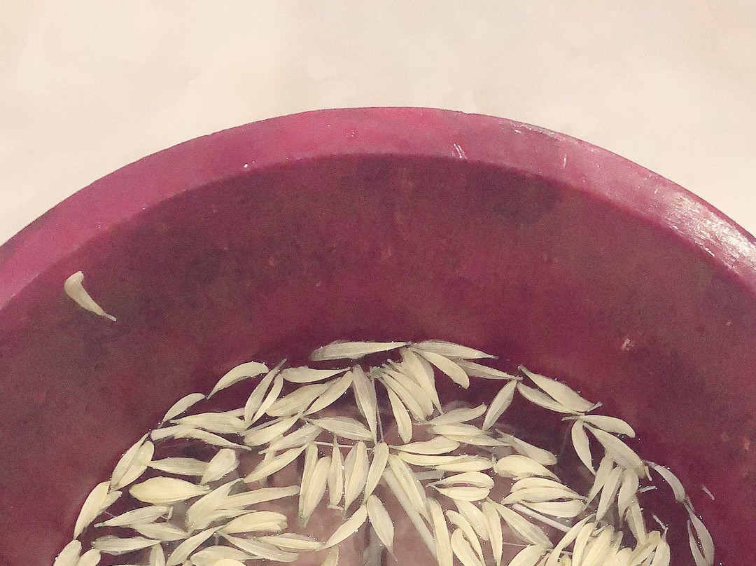 Lemon Tree Spa & Nail-Cam Chau必去景点