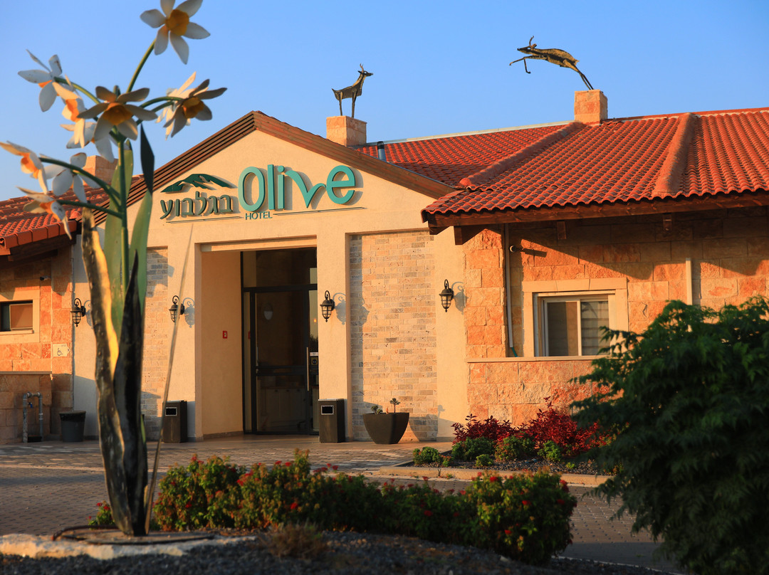 Olive Gilboa Mountain主图