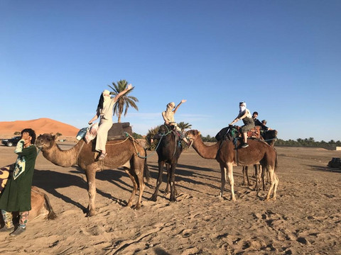 Explore Marrakech Trips-马拉喀什必去景点