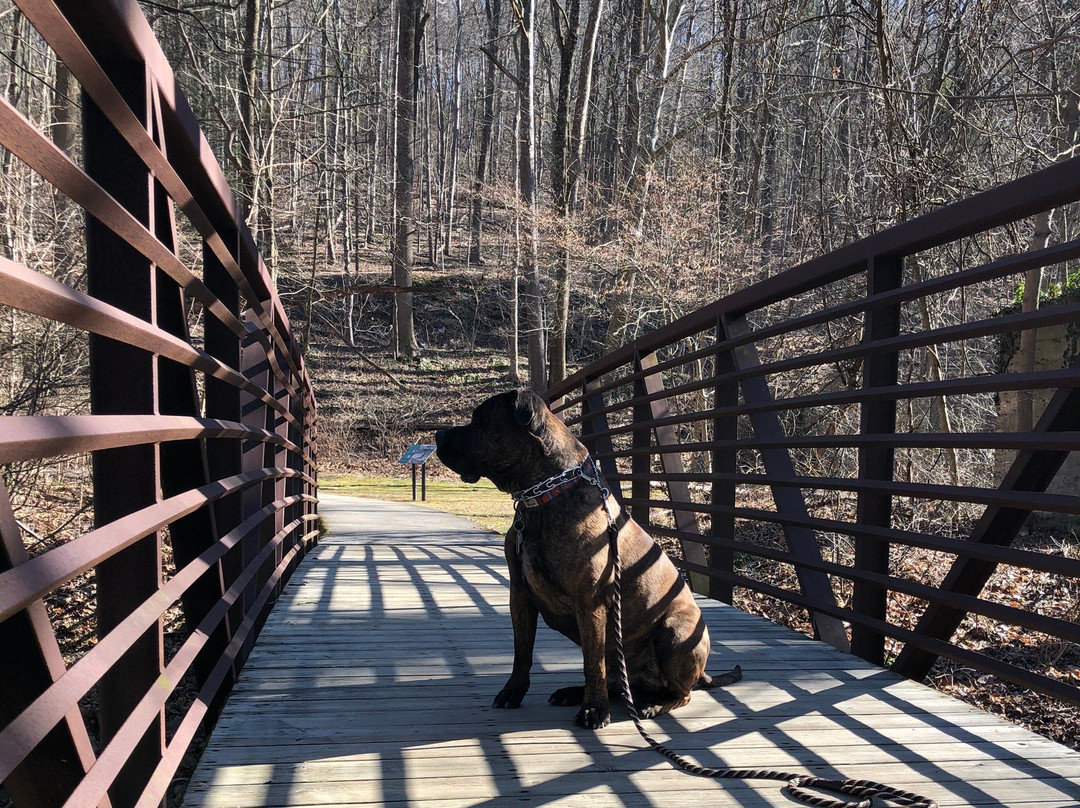 The Struble Trail-Downingtown必去景点