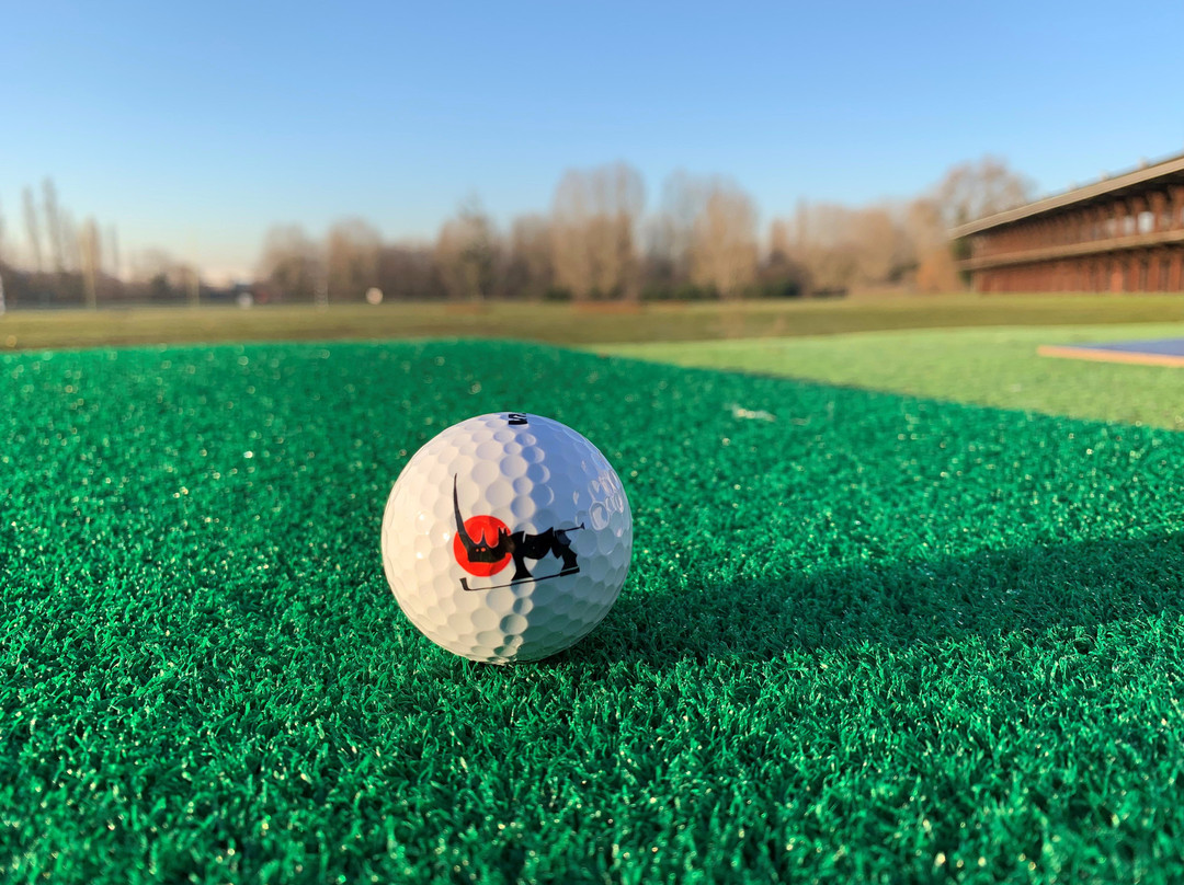 Golf de l'Ile Fleurie景点图片
