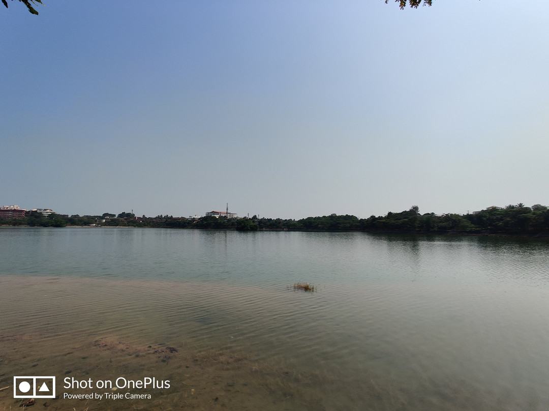 Manipal Lake景点图片