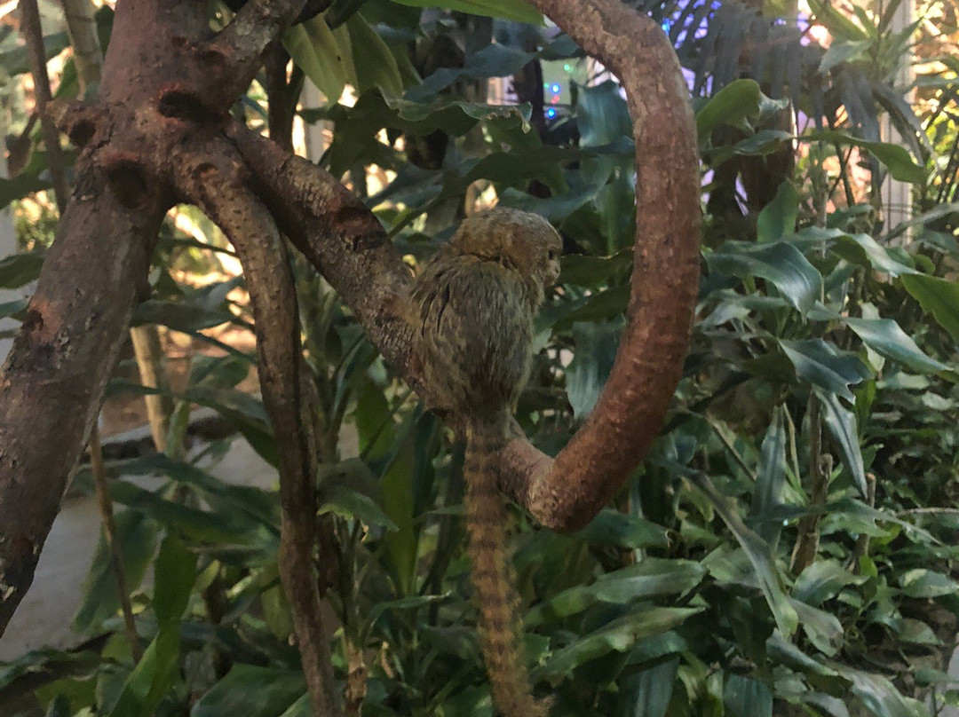 Malmo Reptile Center-马尔默必去景点
