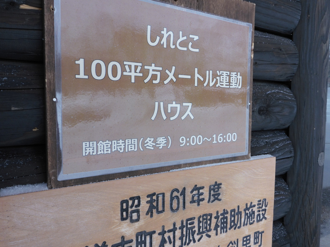 Shiretoko 100 Square-Meter Trust Forest景点图片