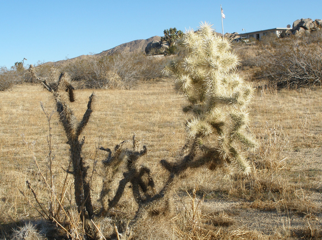 Saddleback Butte State Park-兰开斯特必去景点