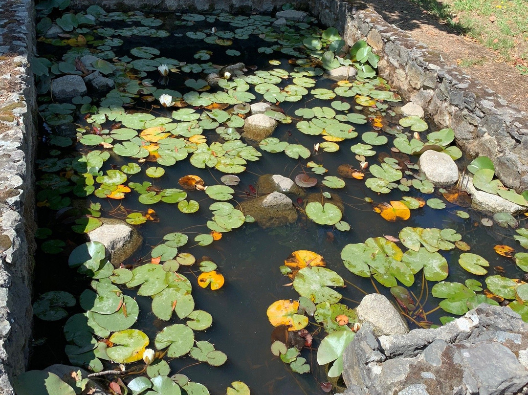 Playa Maqui Lodge主图