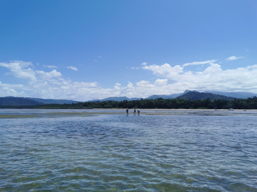 Kuku Yalanji Cultural Habitat Tours-Cooya Beach必去景点