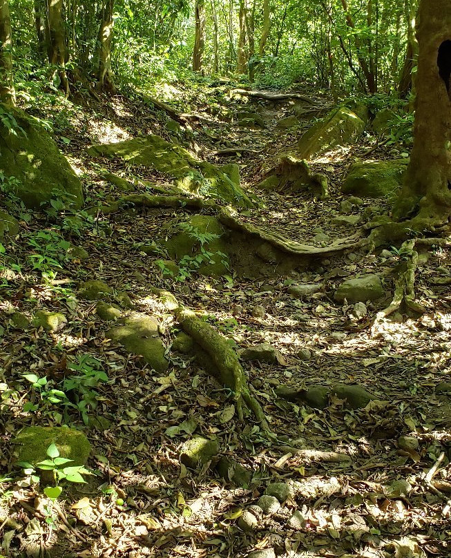 Hotel Campestre主图