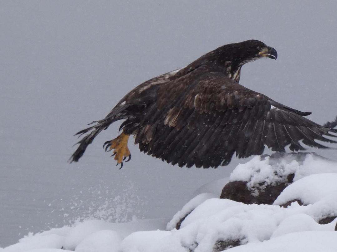 Quiet Fly Fisher Guide Service & Fly Shop-Loa必去景点