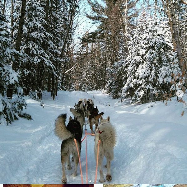 Bonjour Nature-蒙特利尔必去景点