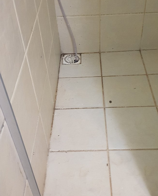 Kiwi Pousada & Lounge主图