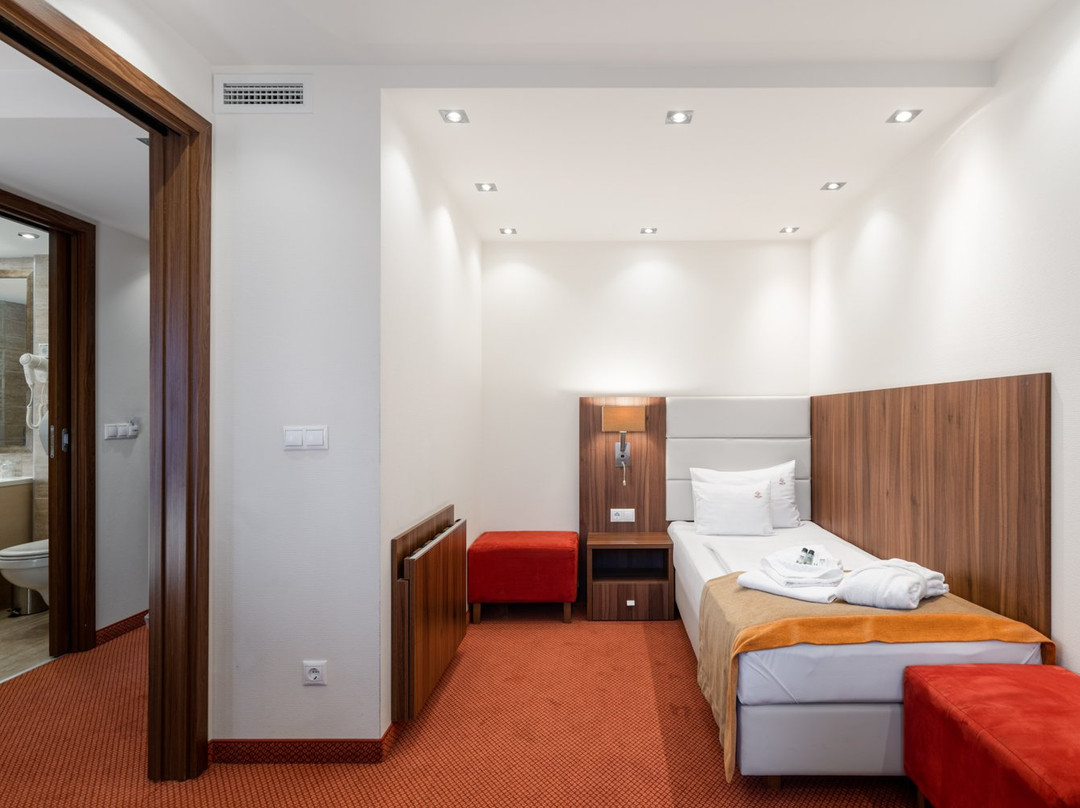 Bukkos Hotel & Spa主图