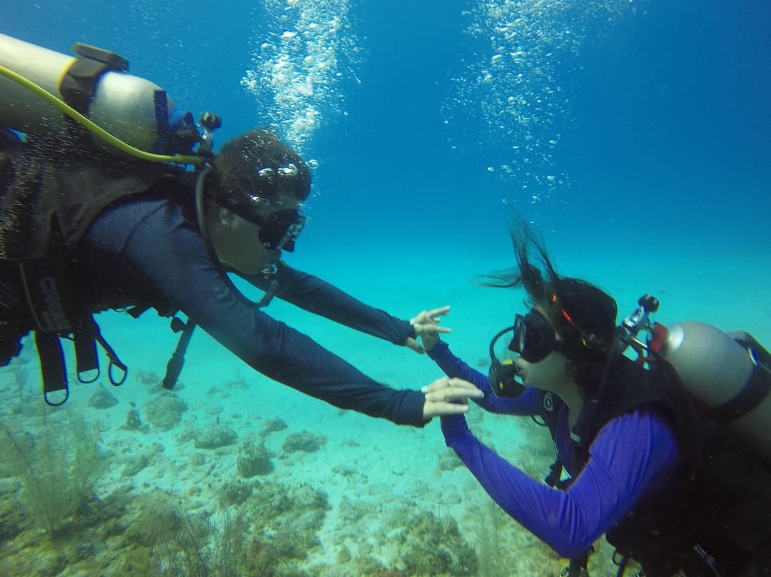 Bigfish Scuba-圣玛尔塔必去景点