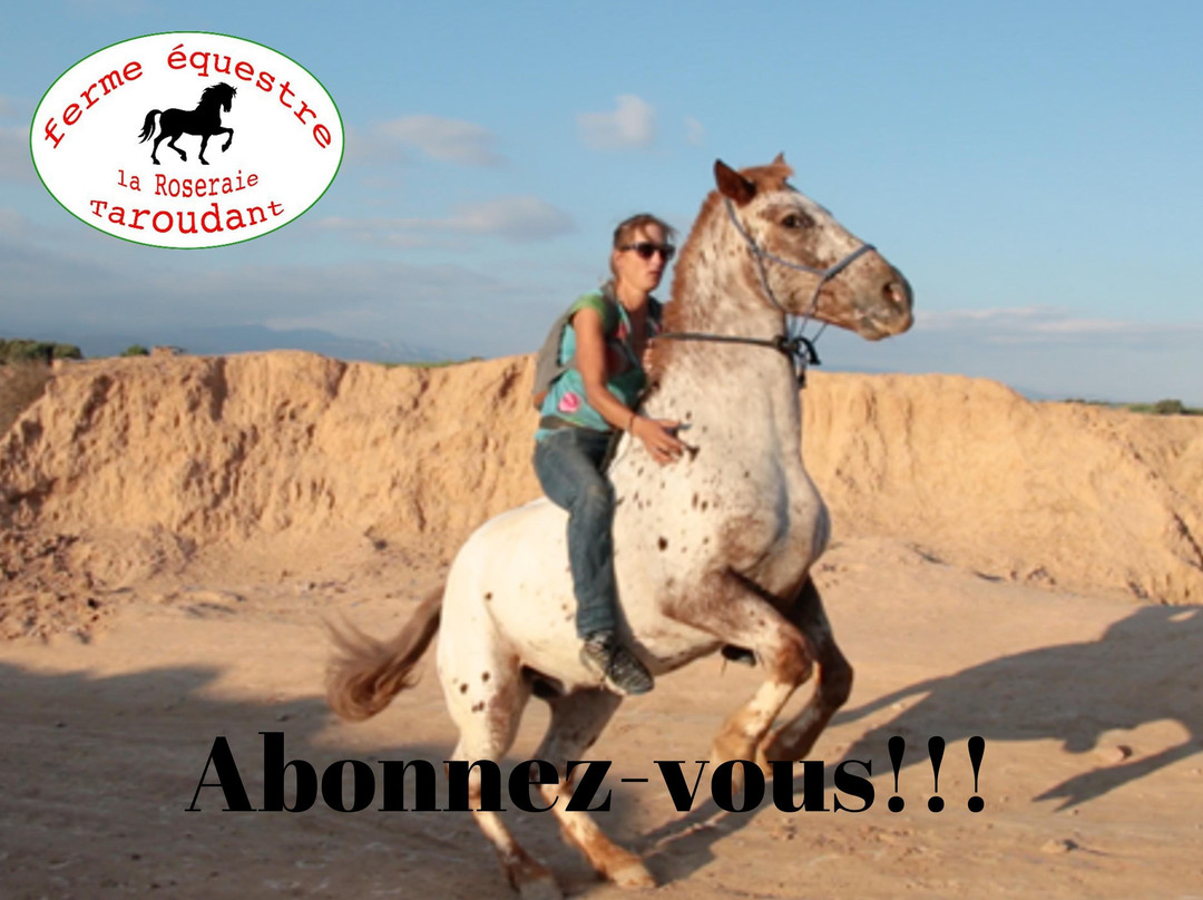 Les écuries de La Roseraie-塔鲁丹特必去景点