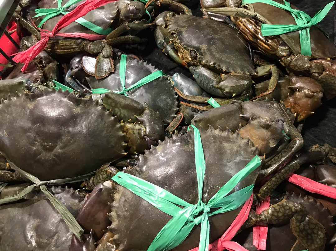 Seaside Dampa-帕塞必去景点