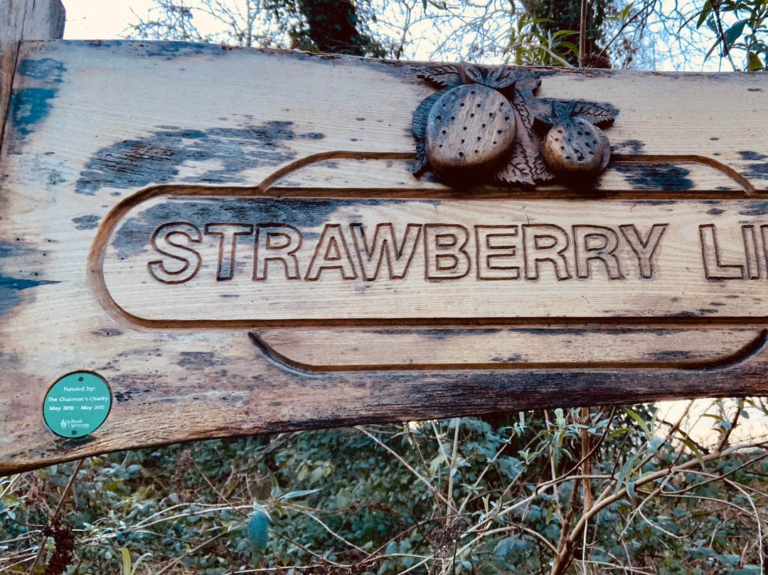 Strawberry Line景点图片