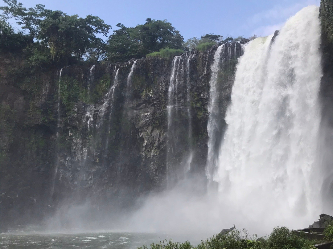 Salto de Eyipantla景点图片