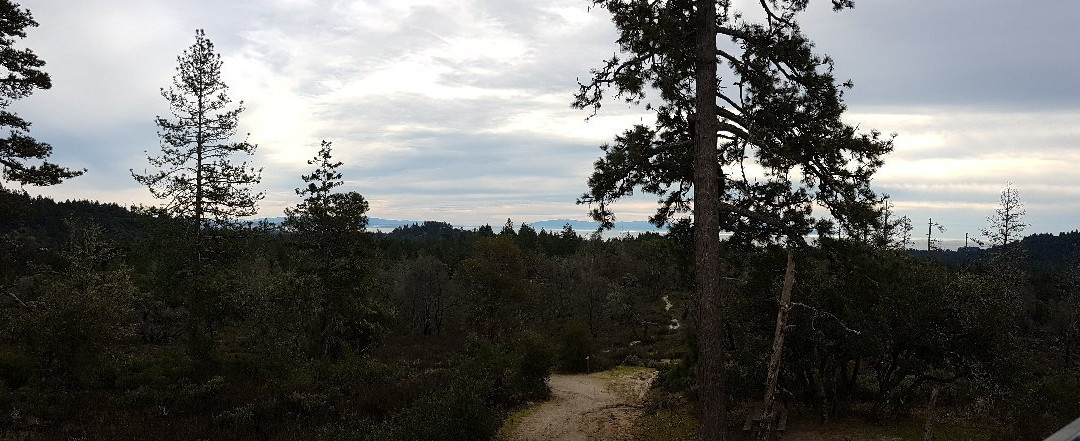 亨利考威尔红杉州立公园景点图片