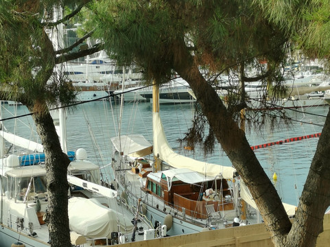 港口宫殿酒店主图