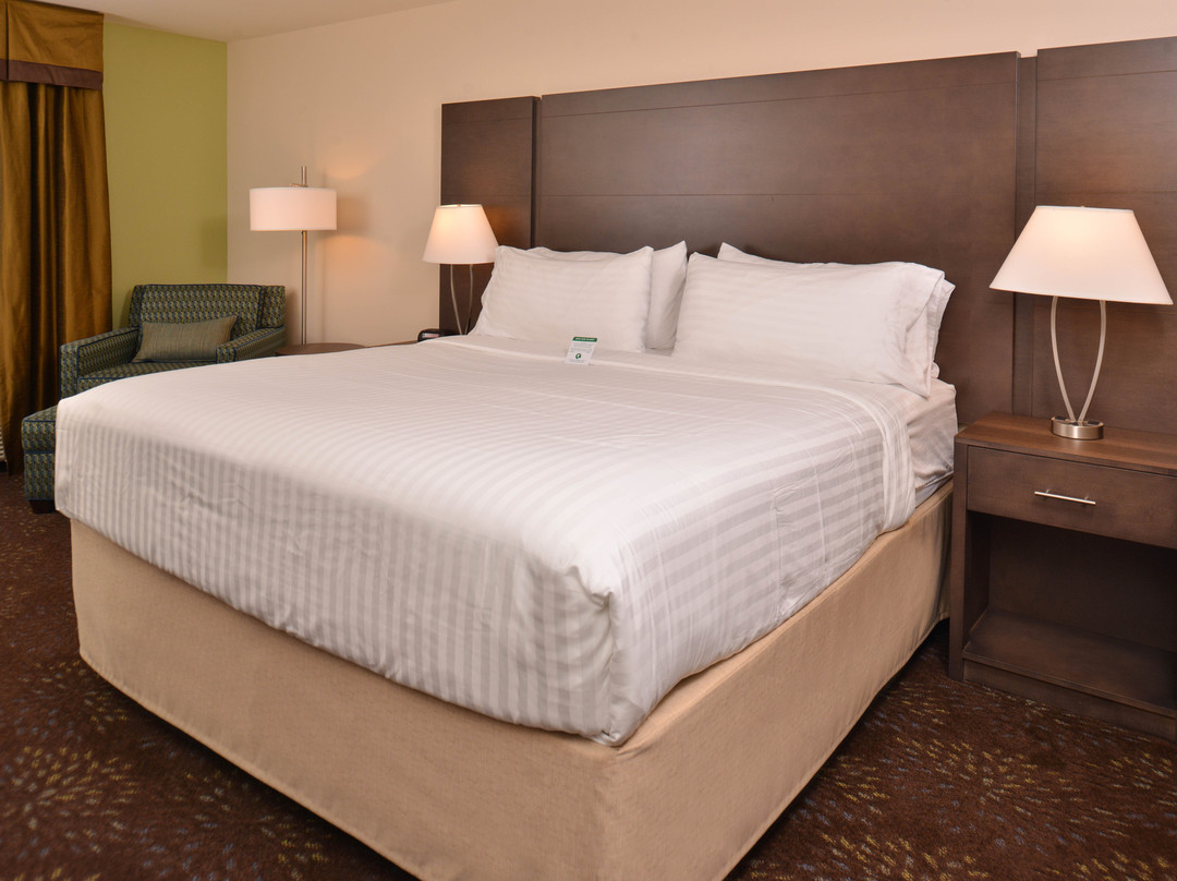 Holiday Inn Express & Suites Dearborn SW - Detroit Area by IHG主图