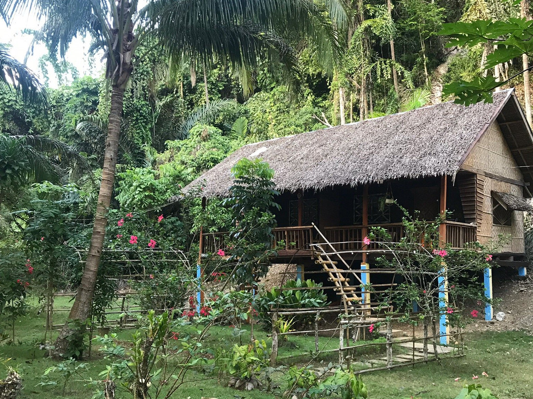 坚果木屋度假村主图