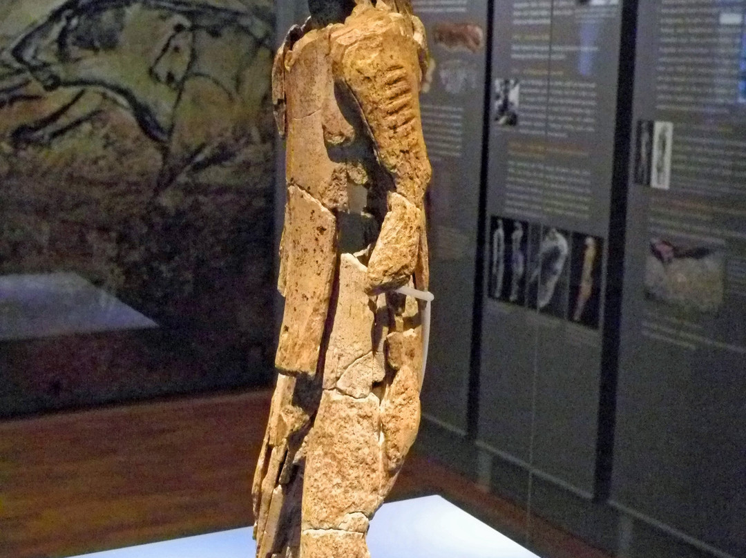 Museum Ulm-乌尔姆必去景点