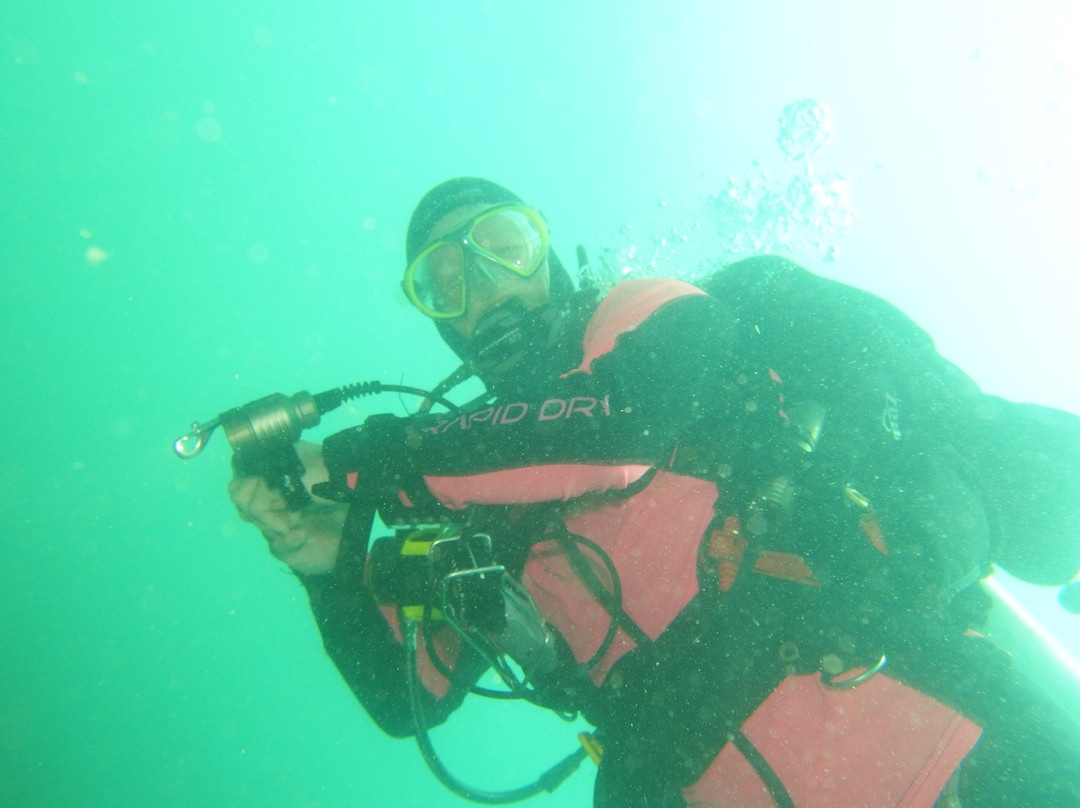 Snorkel & Dive Safari Swansea景点图片
