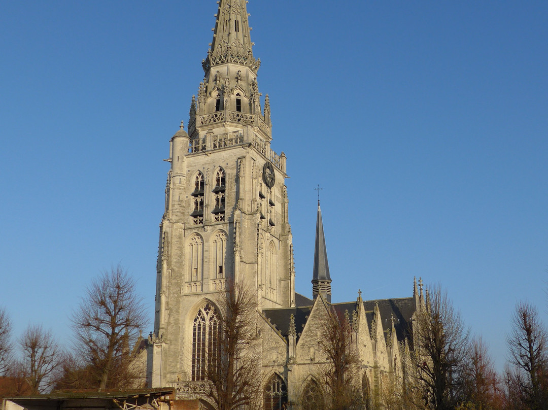Collegiale Saints Pierre et Guidon-Anderlecht必去景点