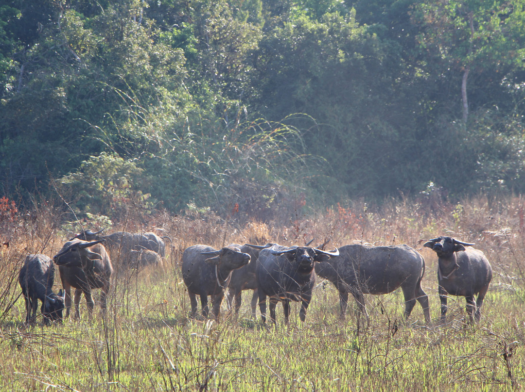 Wild KK Project-戈公必去景点