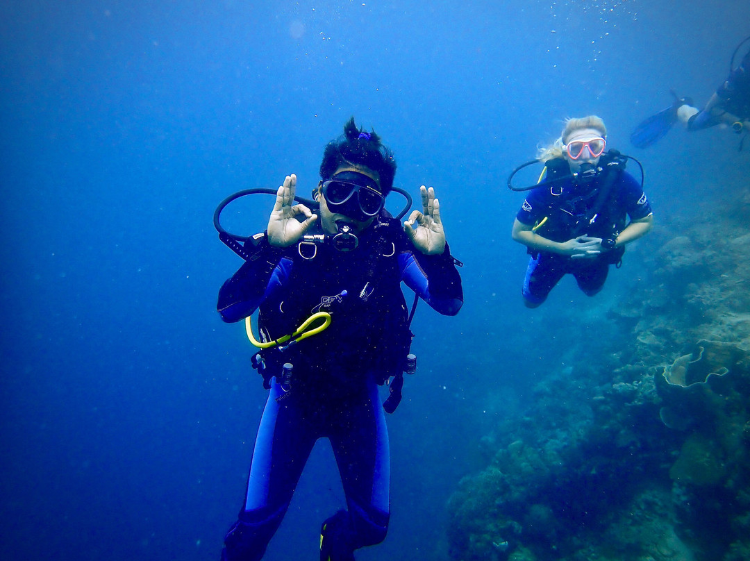 Alegria Dive Resort景点图片