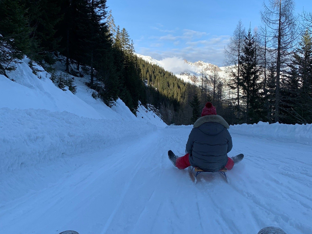 Piste de Luge des Diablerets-Les Diablerets必去景点
