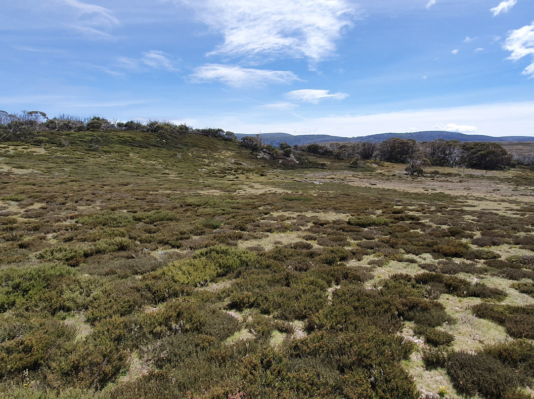 Wallaces Heritage Trail