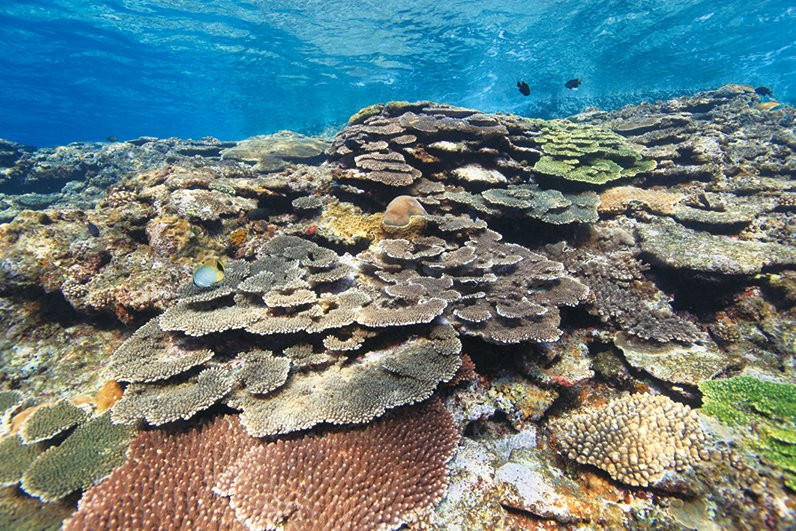 Keramashoto National Park-岛尻郡必去景点