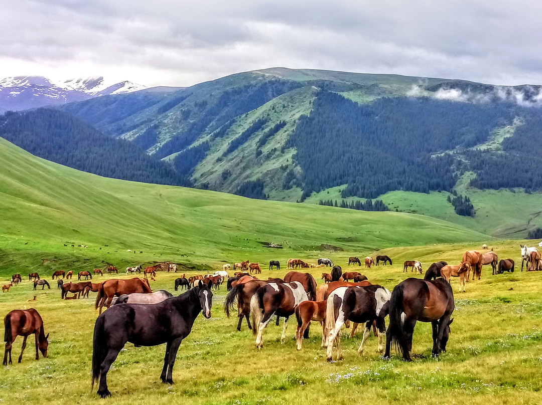 Individual Tours in Kazakhstan-阿拉木图必去景点
