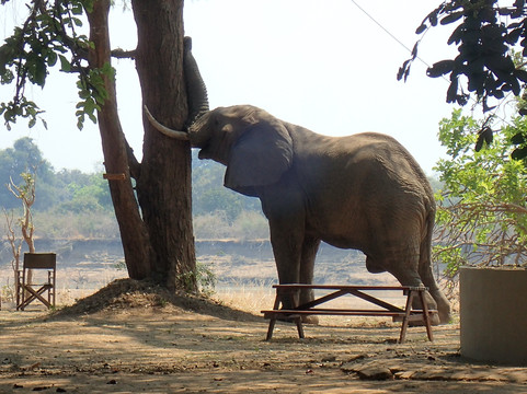 夫拉特多格斯露营旅馆主图