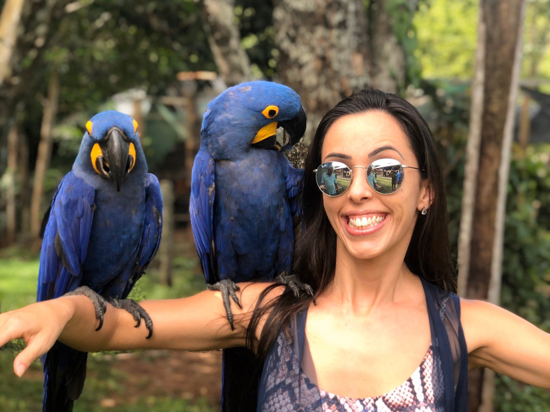 Cachoeiras do Rio do Peixe-Rio Negro必去景点