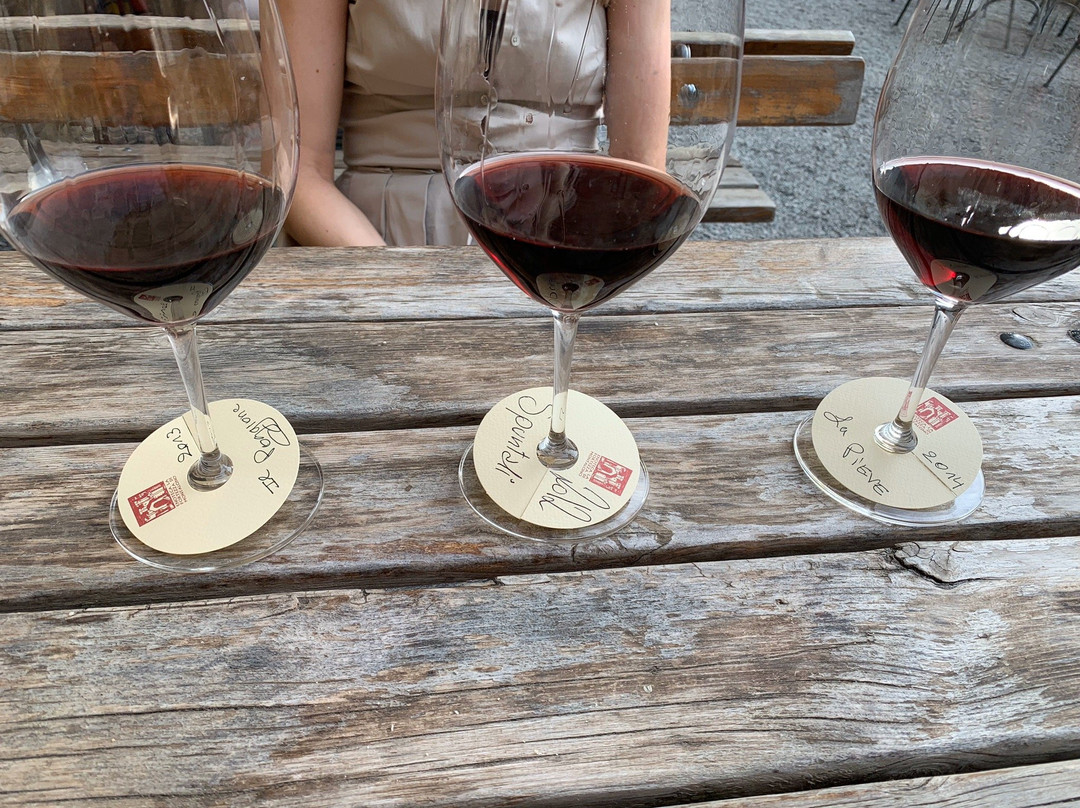 Enoteca la Fortezza di Montalcino-蒙塔尔奇诺必去景点