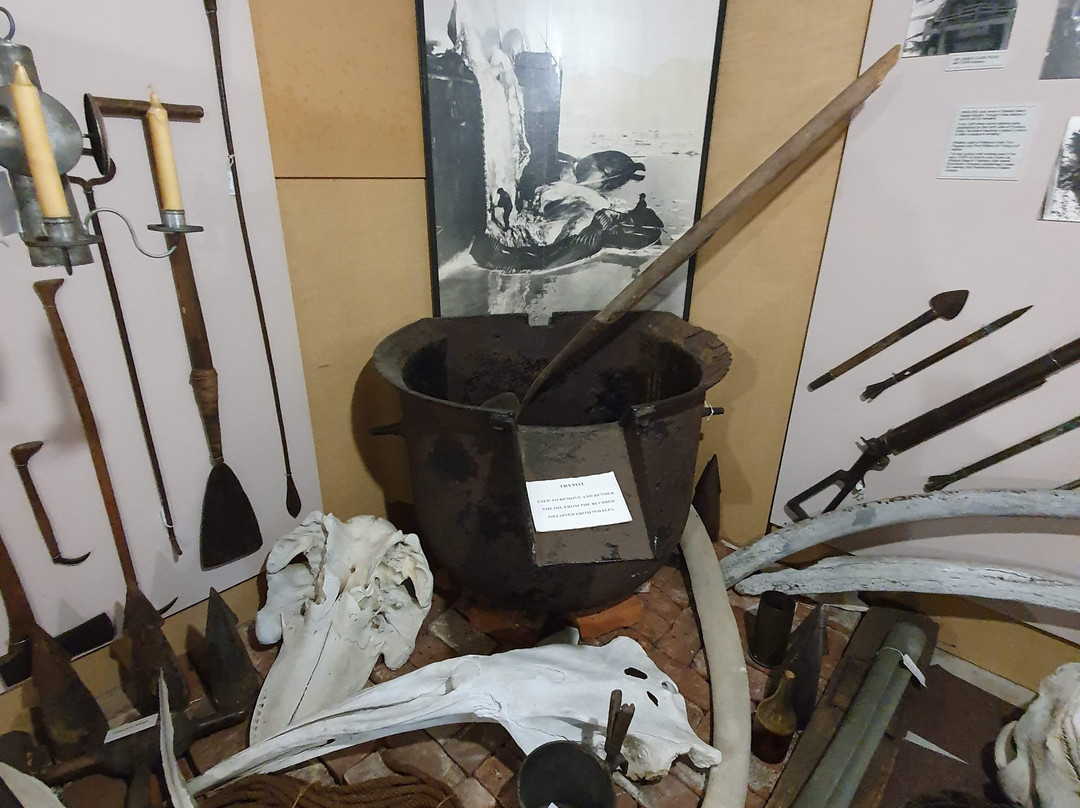 Rakiura Museum景点图片