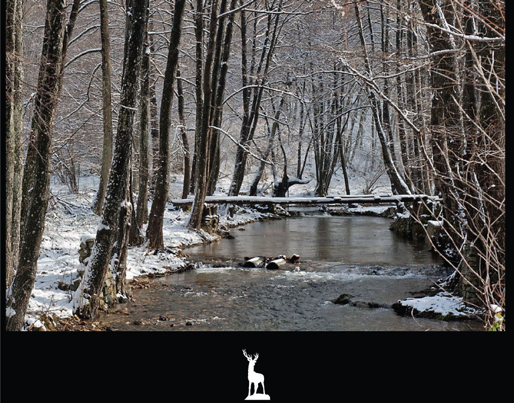 Palivor Ciftligi主图