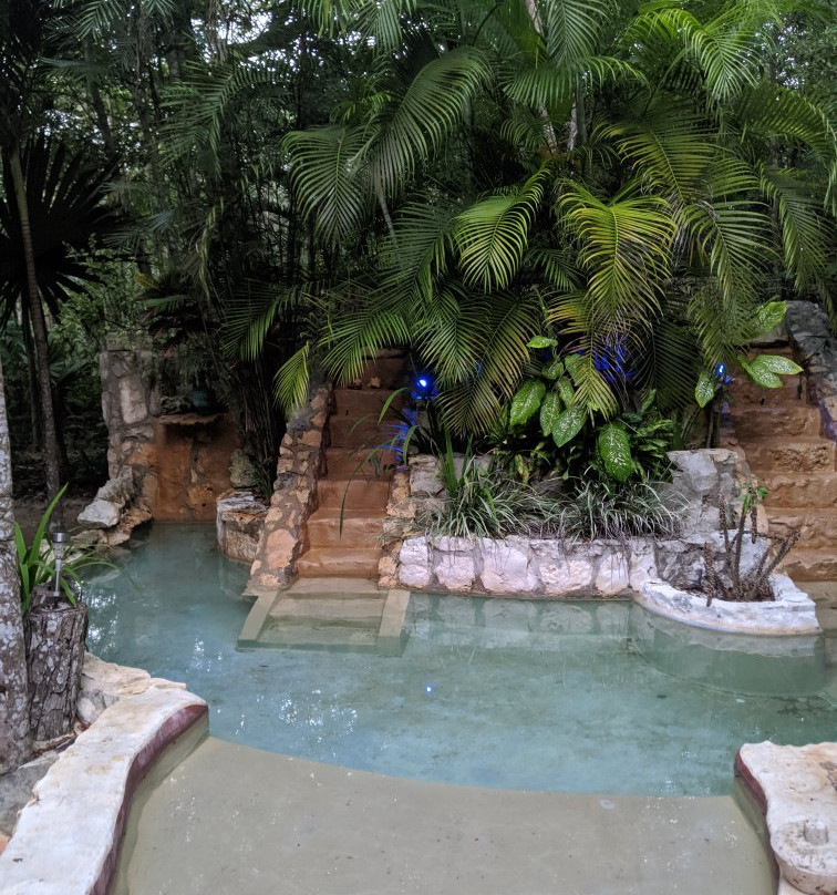 La Selva Mariposa主图