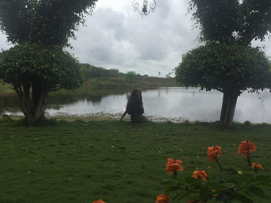 Fazenda Hotel Repouso Das Aguas主图