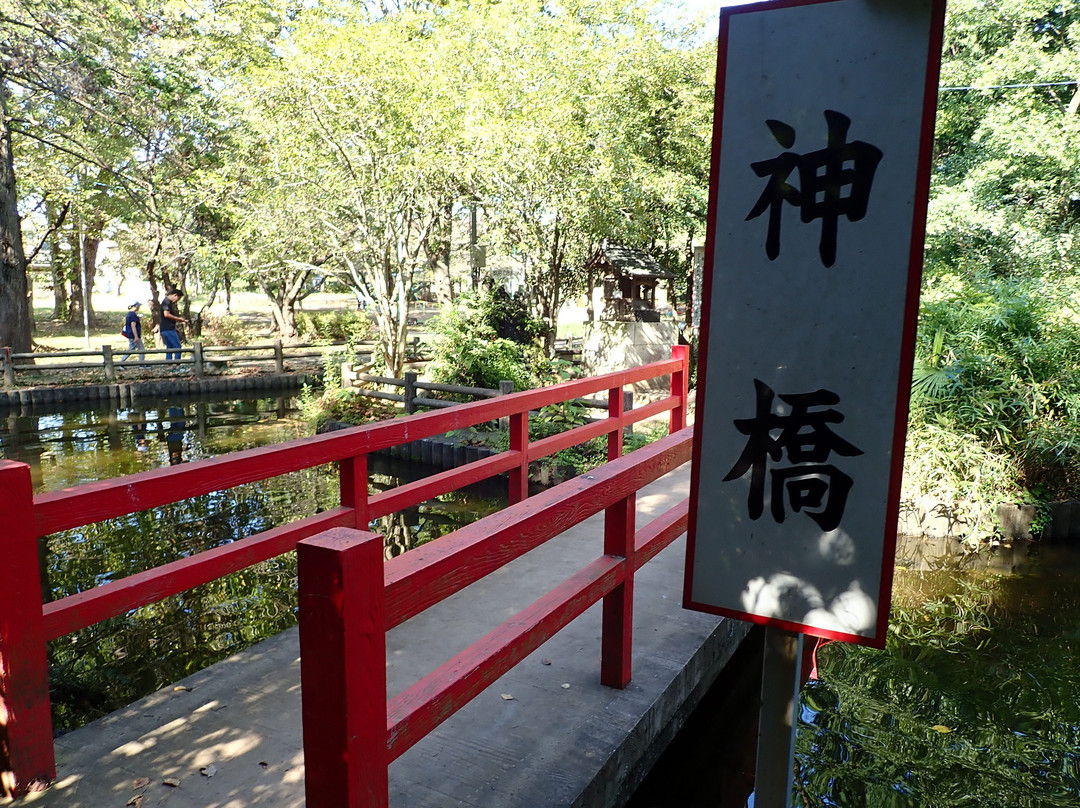 Yono Park-埼玉市必去景点