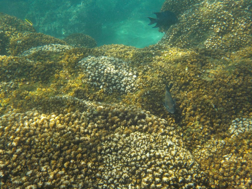 Chachacual-瓦图尔科必去景点